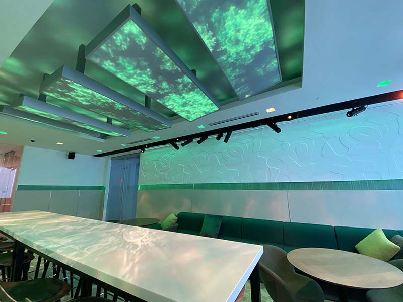 Deloitte Ceiling LED Features