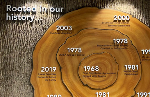 Tree Ring Timeline Wall